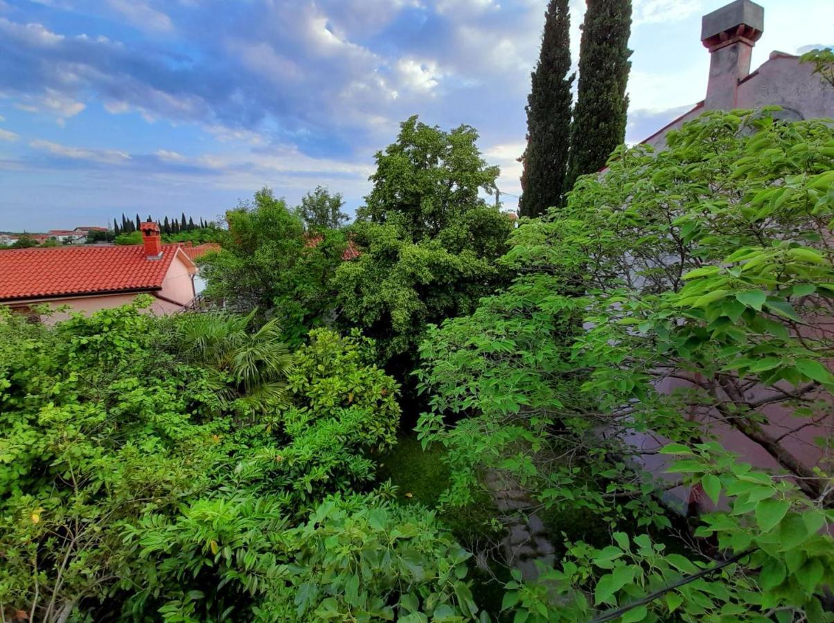 Traditional Istrian Stone House Šmarje Exteriér fotografie