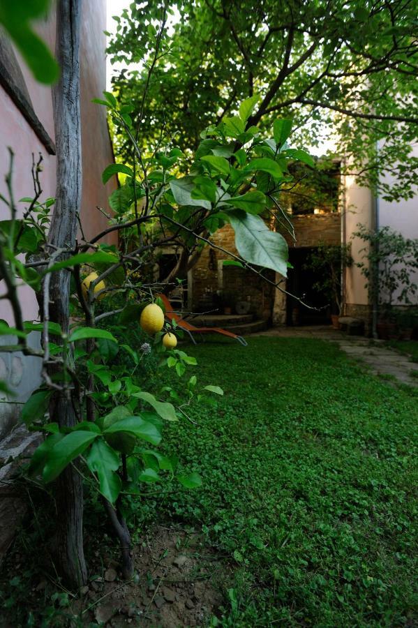 Traditional Istrian Stone House Šmarje Exteriér fotografie