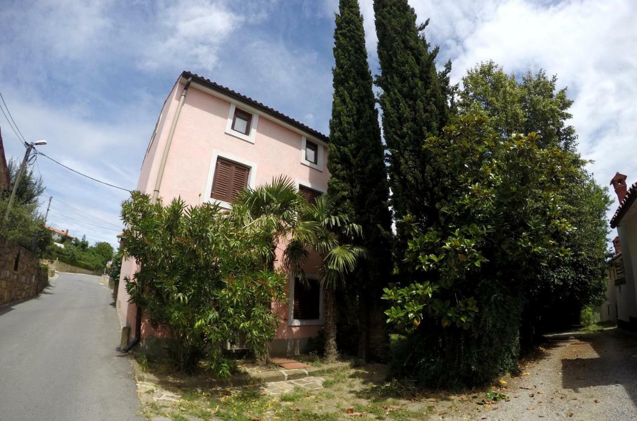 Traditional Istrian Stone House Šmarje Exteriér fotografie